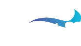 Special 21