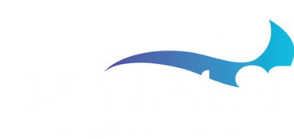 Special 21